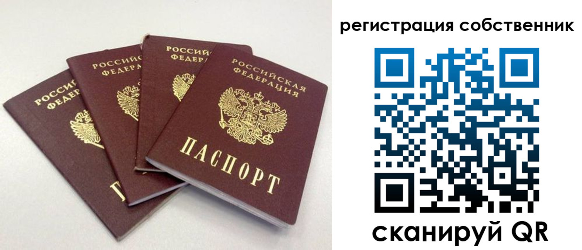 прописка для школы в Нытве
